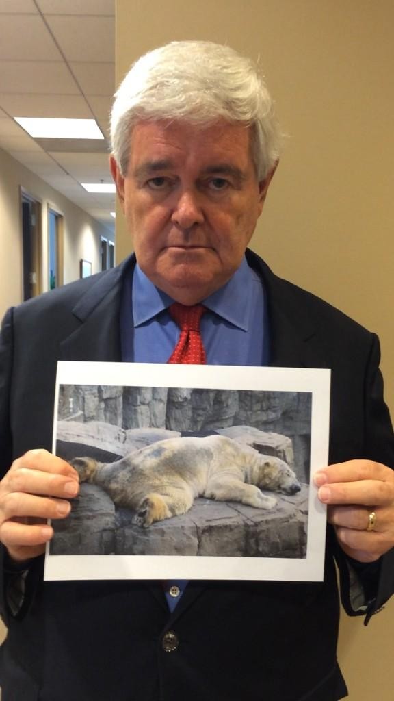 Newt Gingrich, former Speaker of the House, tweets for Arturo