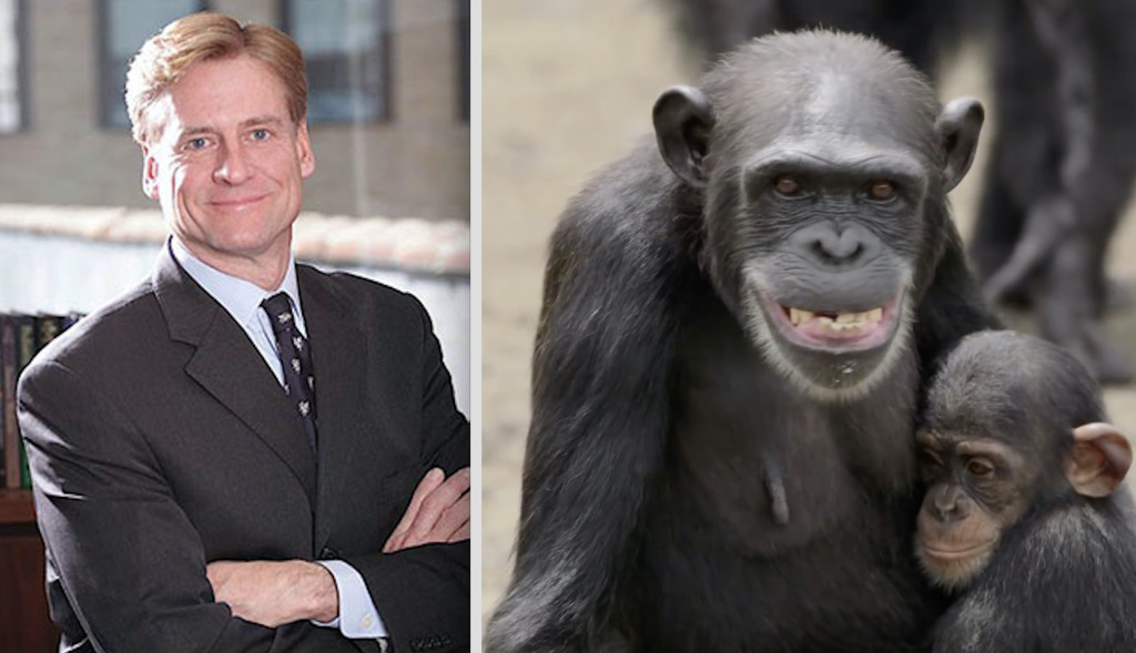 Christopher Hillyer, CEO of NYBC who earns over $1.2 million/year, has left chimps to starve to death.