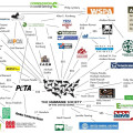 Animal Rights Organizations