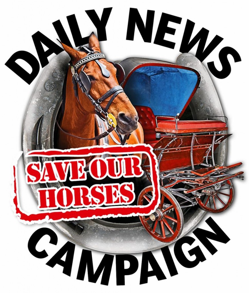 Logo included in each NY Daily News story promoting horse carriage trade