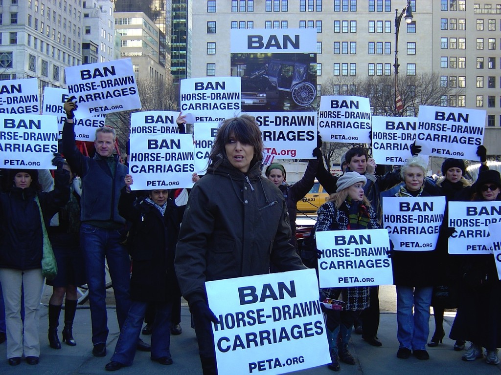 Chrissie Hynde protests horse-drawn carriages in 2008 (photo: Donny Moss)