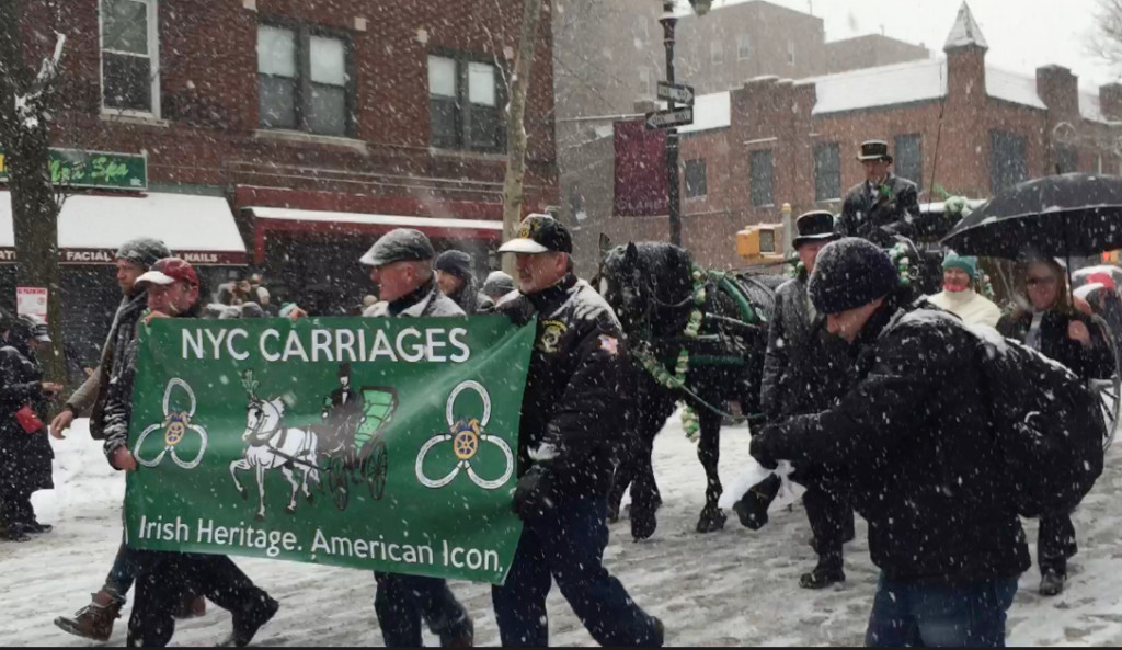 Horse-drawn carriage works during snowstorm in a St. Patrick's Day parade