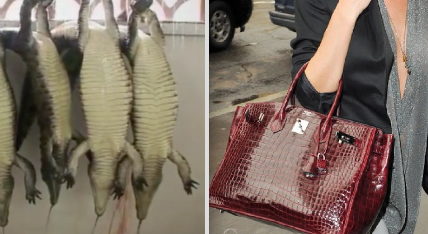Shocking New Investigation Reveals the Horror Behind Hermès-Owned