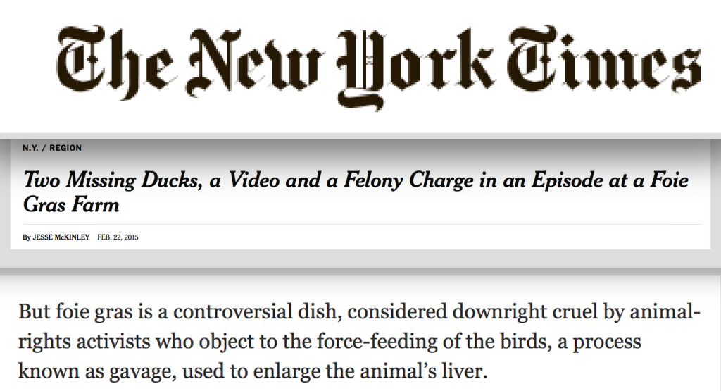 Excerpt from NY Times story about Amber Canavan and Hudson Valley Foie Gras