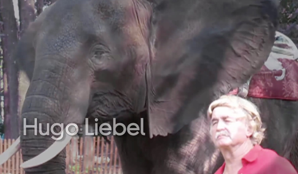 Nosey's oppressor Hugo Liebel (photo: screenshot from video produced by Action For Nosey Now)
