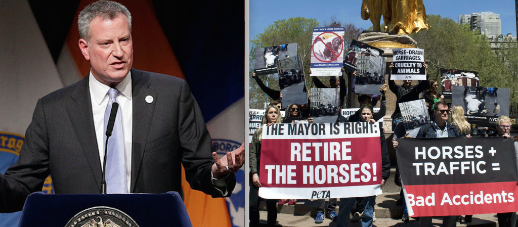 A prominent component of Bill de Blasio's campaign platform was banning horse-drawn carriages