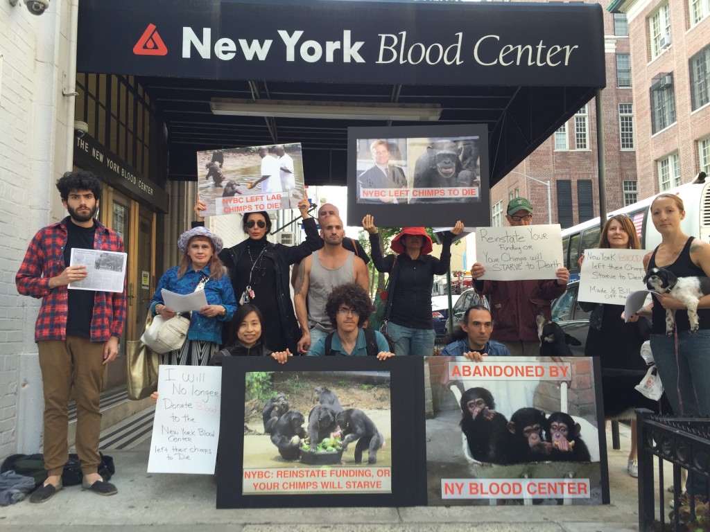 Caring New Yorkers are demanding that NYBC reinstates funding to pay for the lifelong care of their former lab chimps.