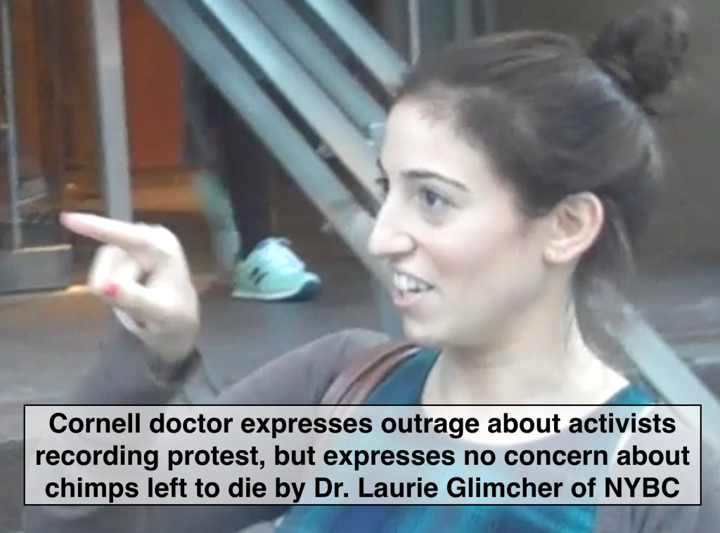 Students, faculty and staff at Cornell expressed no compassion for the chimps abandoned by their Dean, Dr. Laurie Glimcher of the NY Blood Center