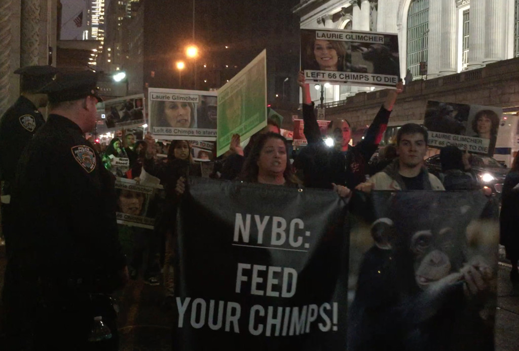 NYBC donors were forced to navigate their way through the moving picket line to enter the gala