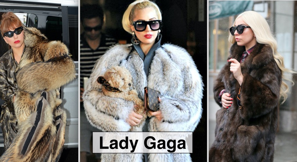Lady Gaga glamorizes fur