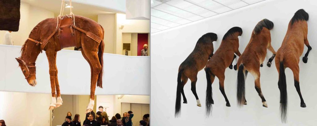 Maurizio Cattelan displays dead animals as art