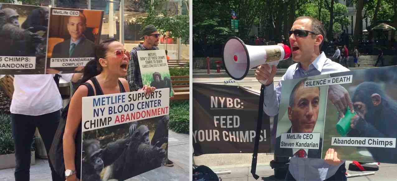 Activists protest the MetLife shareholders meeting.