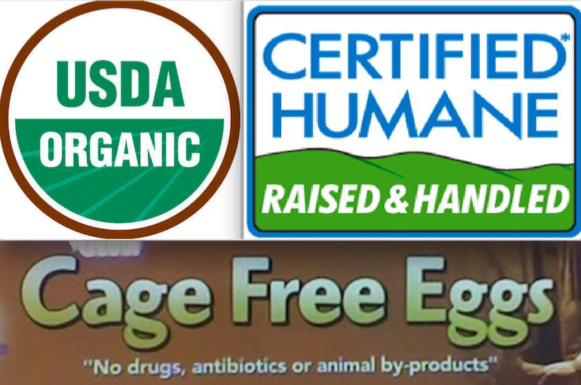 Deceptive Advertising by Animal Products Industry Fools Consumers;  Advocates Fight Back - Their Turn