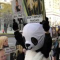 Carolyn Maloney panda protest
