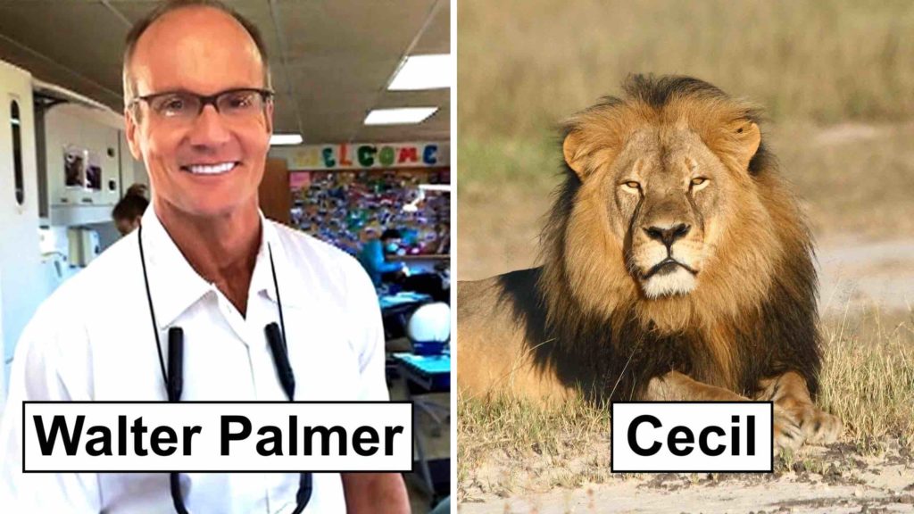 Photo of Walter Palmer, the notorious trophy hunter who killed Cecil, a beloved lion in Zimbabwe