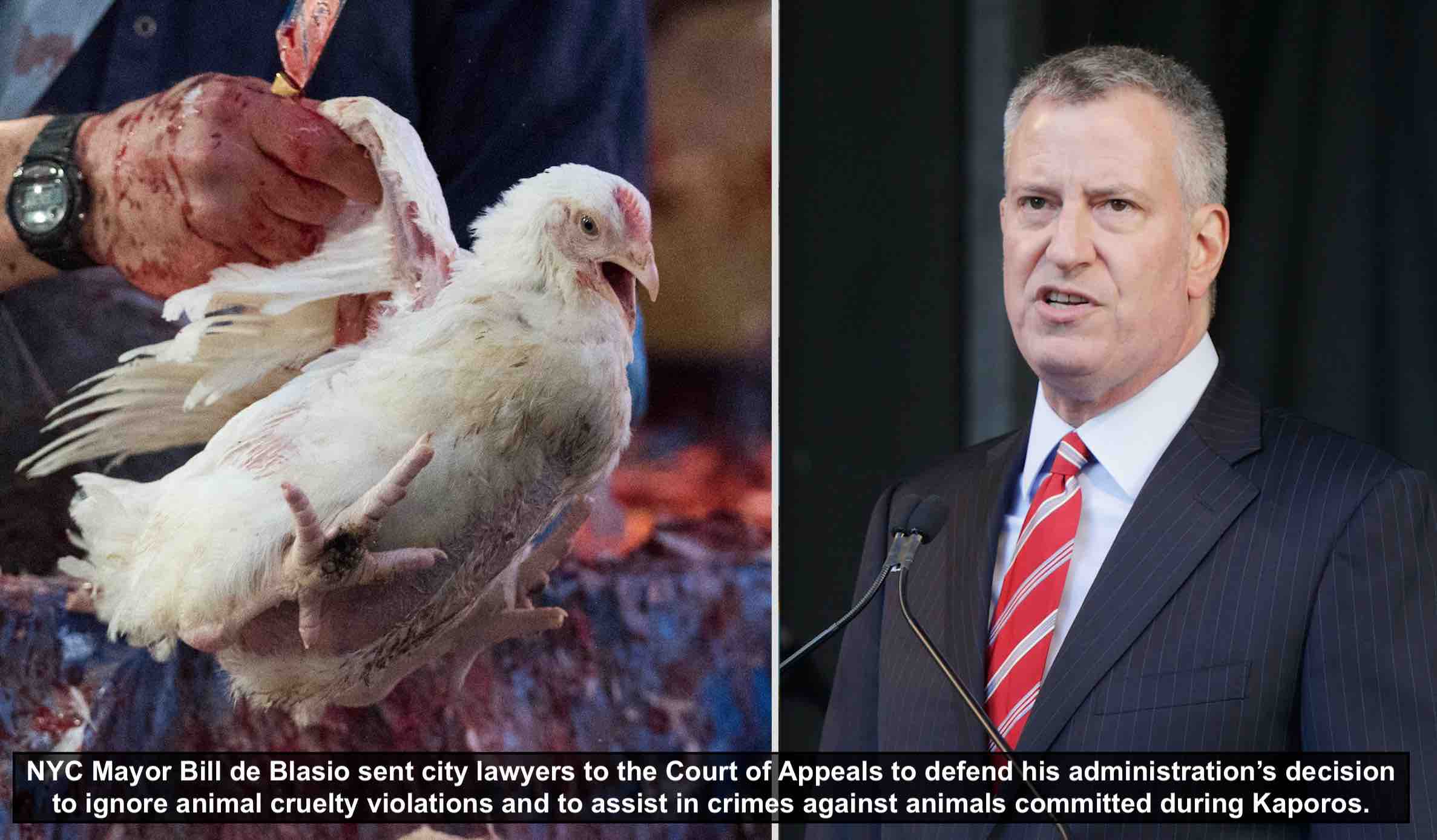De Blasio Administration Uses Tax Dollars to Aid and Abet in Crimes Against  Animals - and Defends it in Court - Their Turn