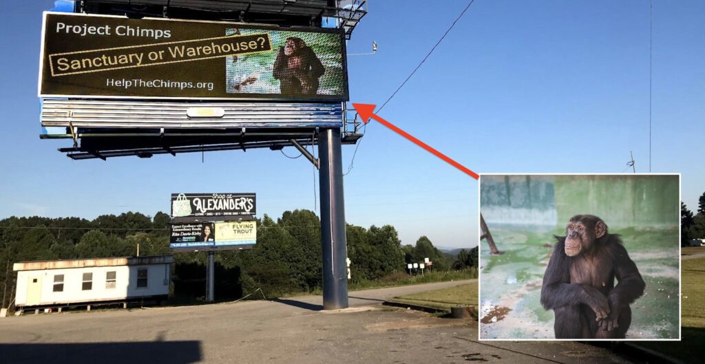 Advocacy groups erected a billboard calling on The Humane Society of the United States to transform its Project Chimps facility from a warehouse to a true sanctuary
