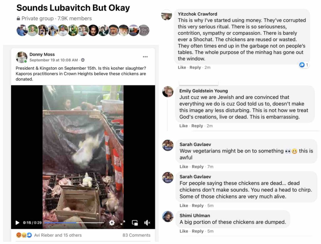 Video footage of chickens being tossed into the street while still alive after their throats were sliced generated angry responses from Lubavitcher Jews who are told that the chickens are donated to the poor.