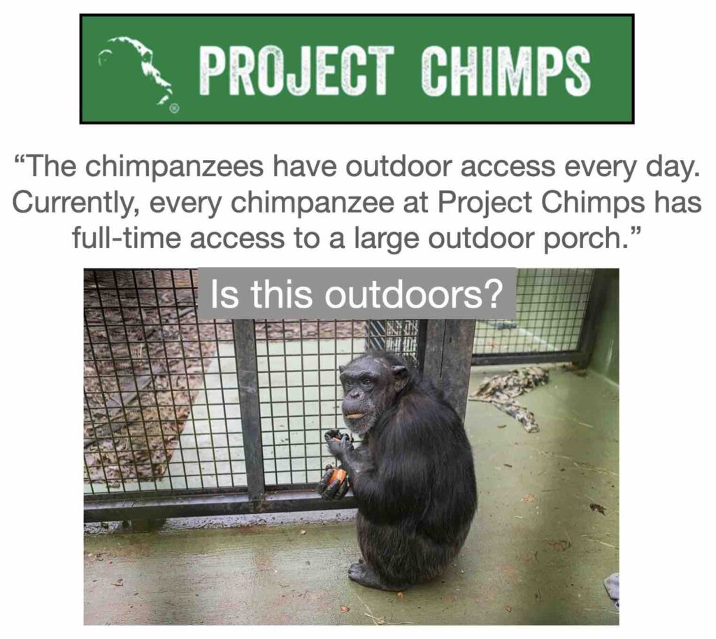Whistleblowers and animal rights activists assert that HSUS and Project Chimps are misleading donors and the public by describing the concrete rooms where the chimpanzees spend their days as "outdoor porches."