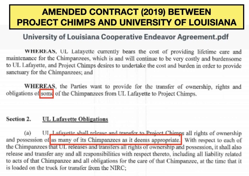 The revised contract between between Project Chimps and the University of Louisiana could sentence chimpanzees to life at the lab because it removed the language indicating that Project Chimps would rescue all 220 of them, and it removed the penalties to Project Chimps associated with leaving chimpanzees behind.
