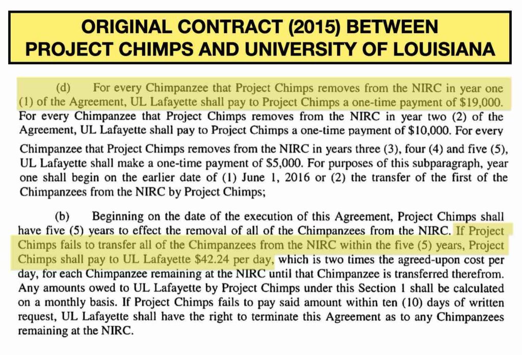 The 2015 contract between the University of Louisiana and Project Chimps. The contract was amended in 2019 to remove the penalty and the understanding that Project Chimps would take all 220 chimpanzees.