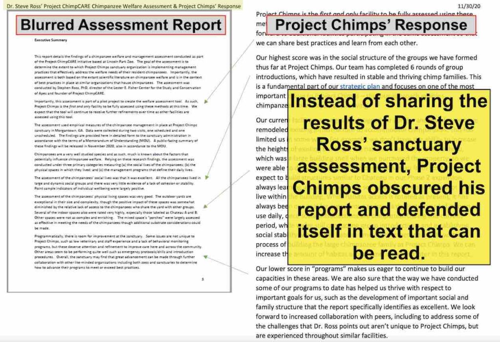 Despite the fact that Project Chimps received a D on its welfare management programs at Project Chimps, HSUS uses Dr. Steve Ross' assessment of the sanctuary to defend against allegations of poor animal welfare conditions. Project Chimps blurred the report so that people who see it will read its reaction instead of the report itself.