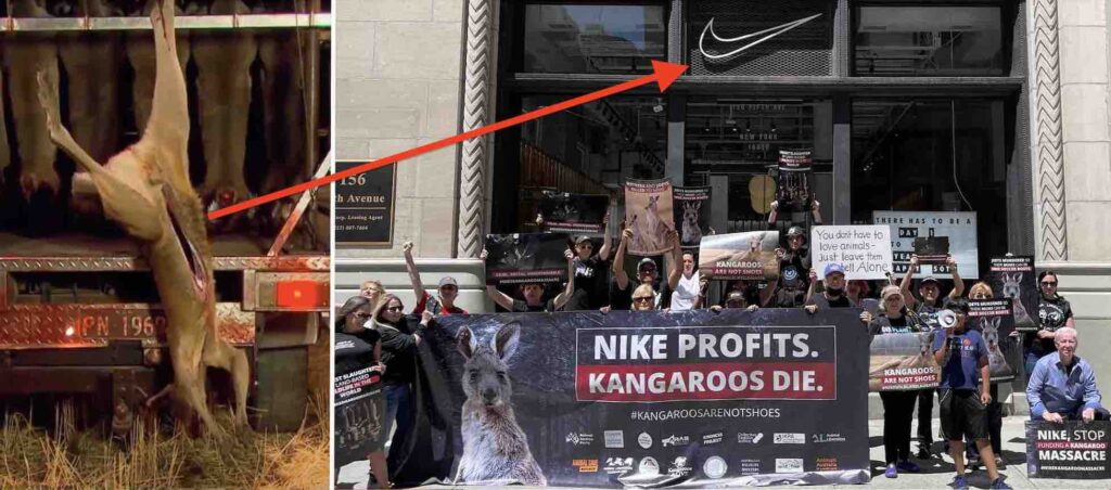 Kangaroo skin protest at Nike