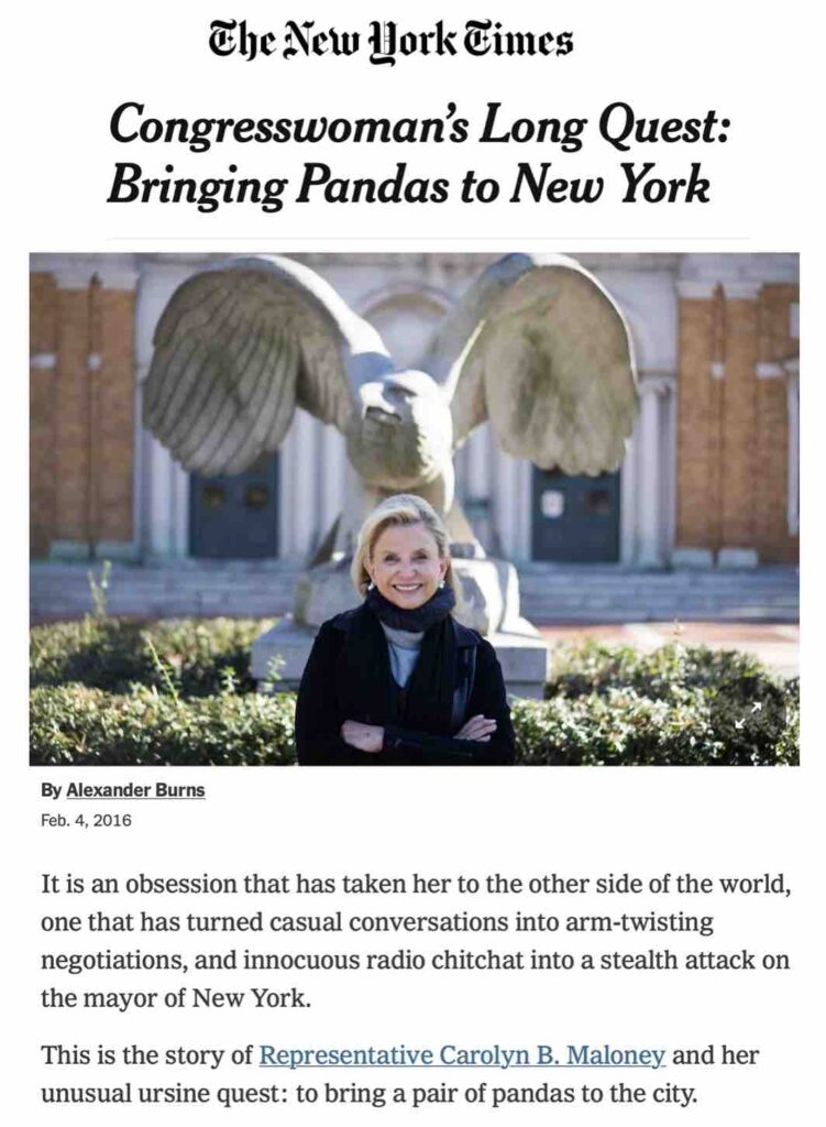 New York Times story about Carolyn Maloney's quest to import pandas from China to NYC