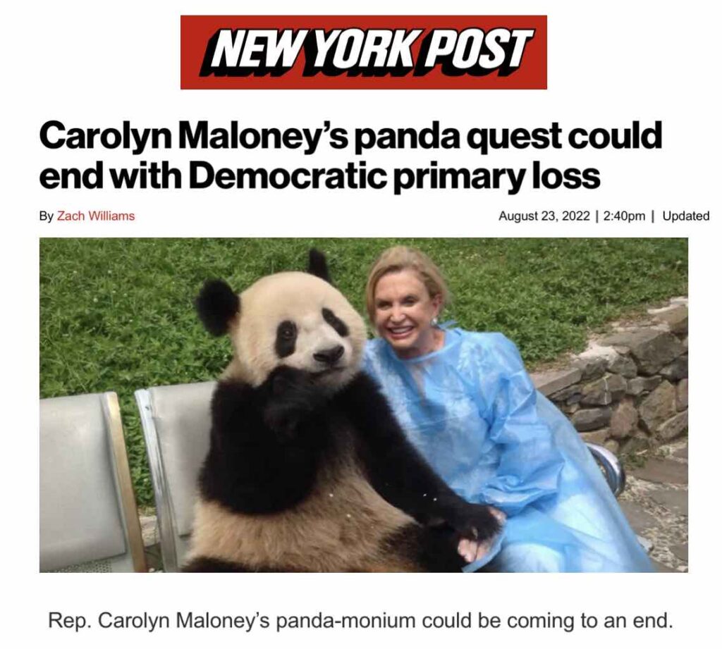 Carolyn Maloney pandas