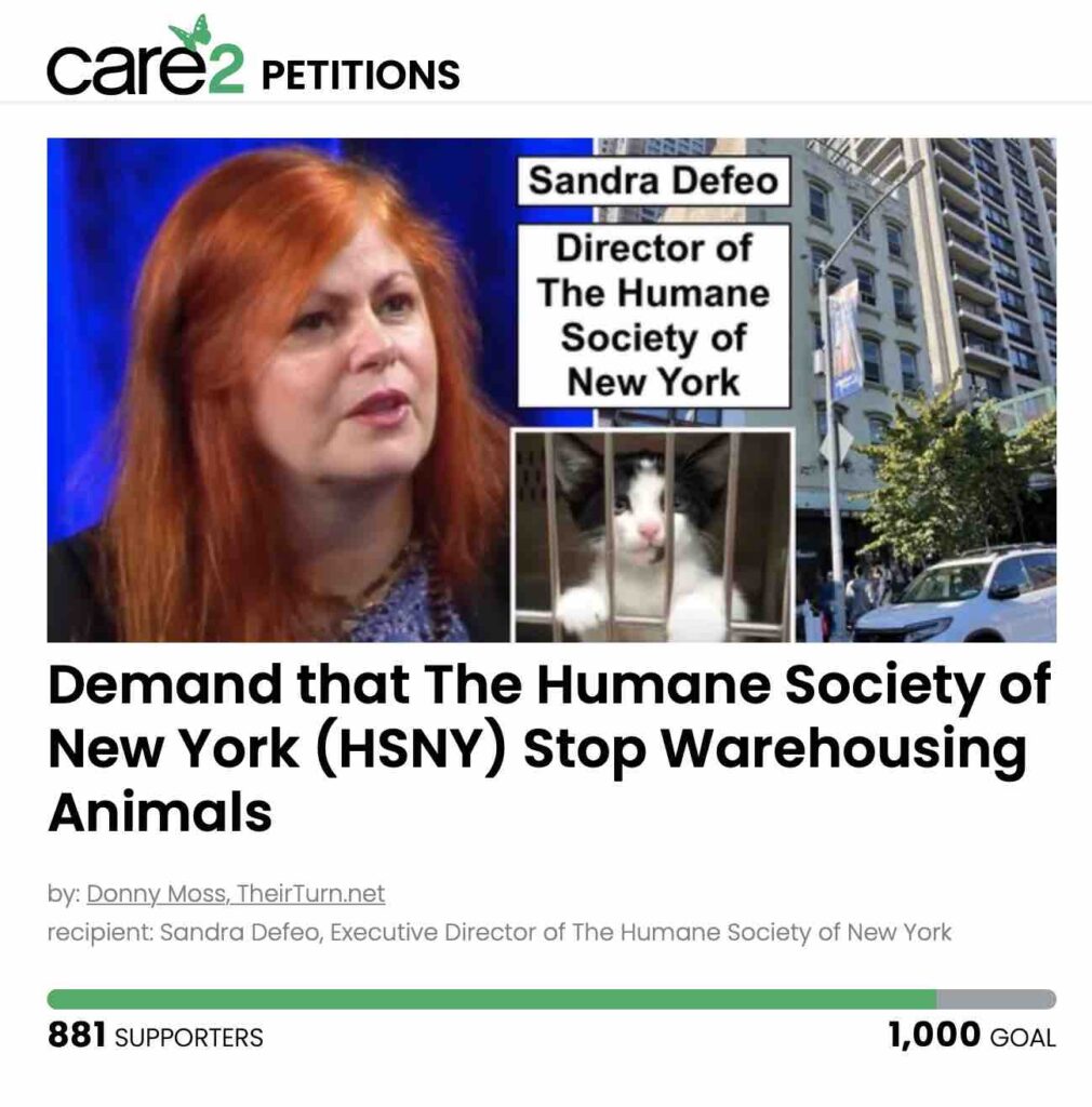 Petition calling on Sandra DeFeo, Humane Society Executive Director. to send the animals to shelters that are open