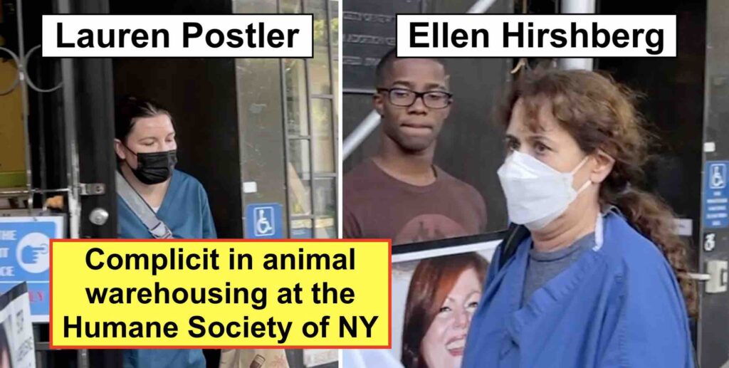 Veterinarians Lauren Postler and Ellen Hirshberg of the Humane Society of New York are confronted by animal rights activists