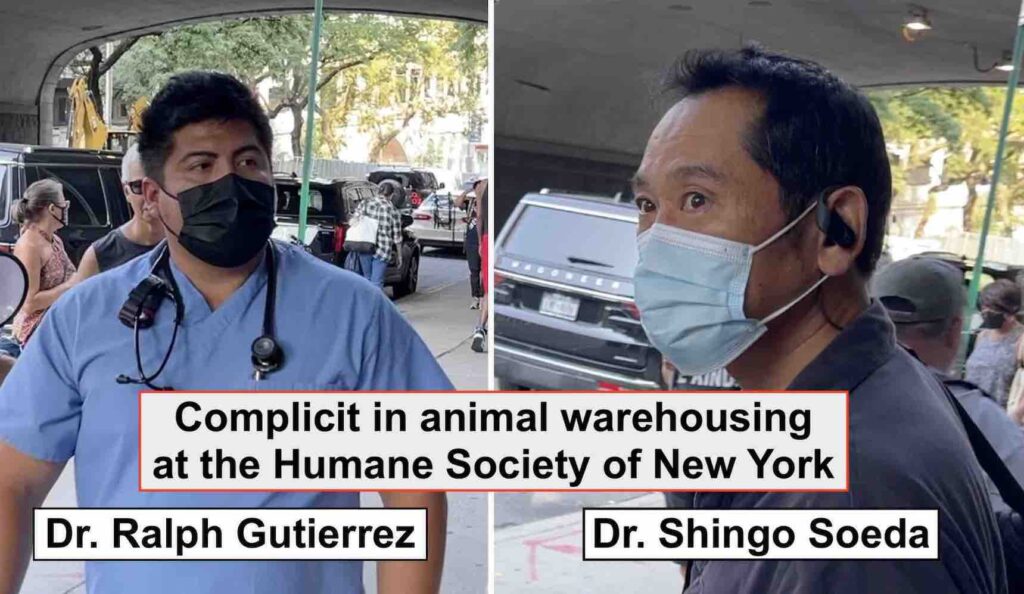Image shows animal rights activists confronting two veterinarians from the Humane Society of New York about the warehousing of animals at their employer's adoption center
