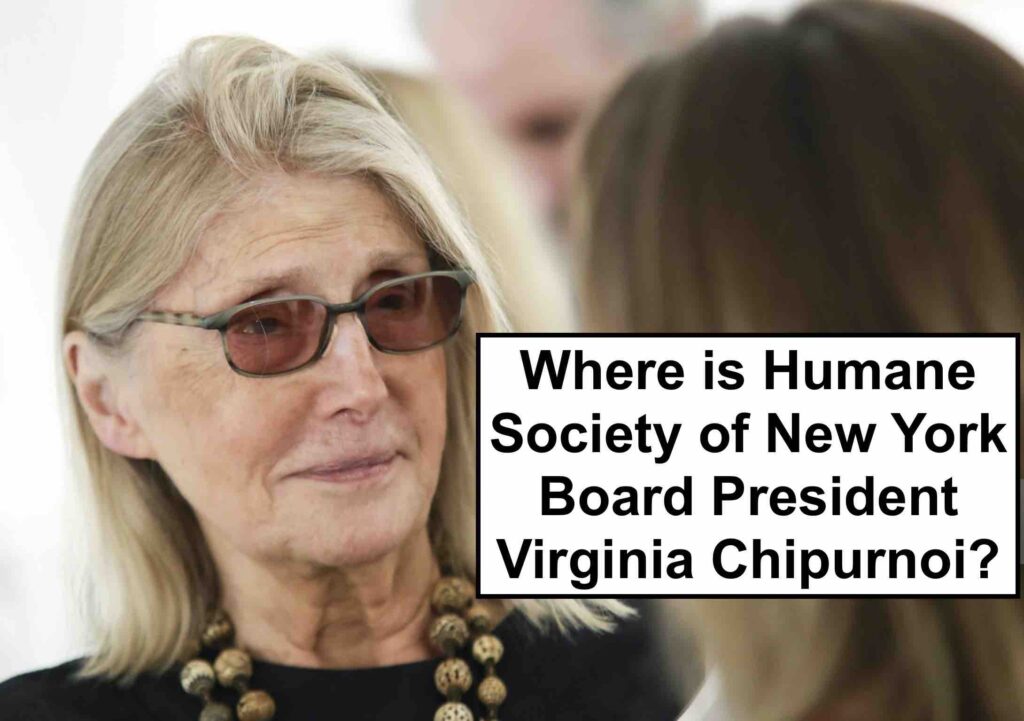 Where is Humane Society of New York Board President Virginia Chipurnoi?