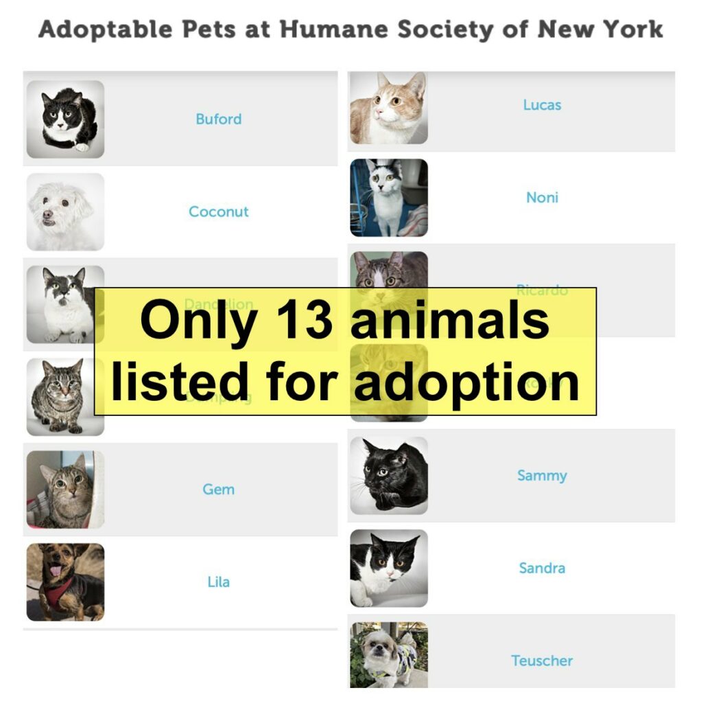 Humane Society of New York lists just 13 animals for adoption on its website 