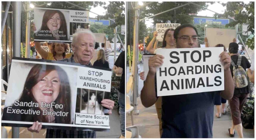 Photo of animal rights activists protesting outside the Humane Society of New York