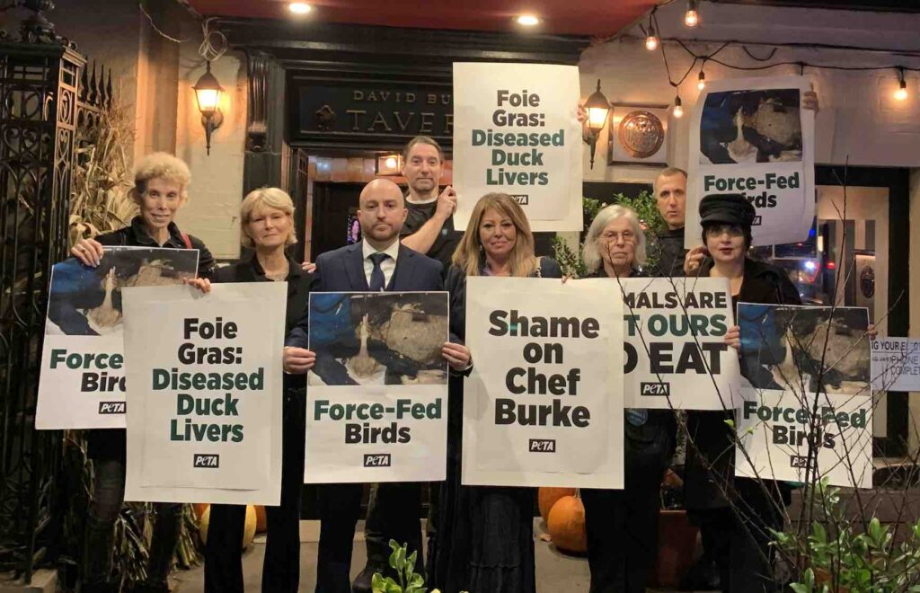 Photo of animal rights activists protesting foie gras