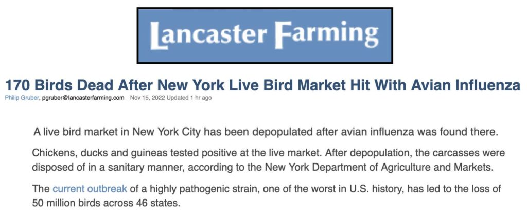 Photo of news coverage about avian flu outbreak in a live animal market in NYC