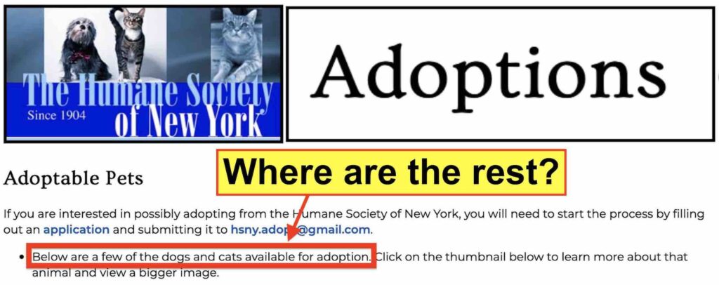 Adoptions at the Humane Society of New York have come to a virtual standstill