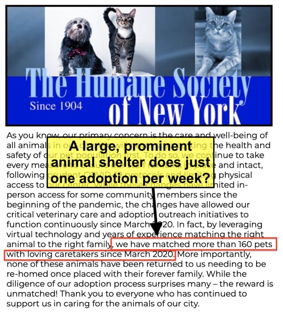 Humane Society of New York adoptions 