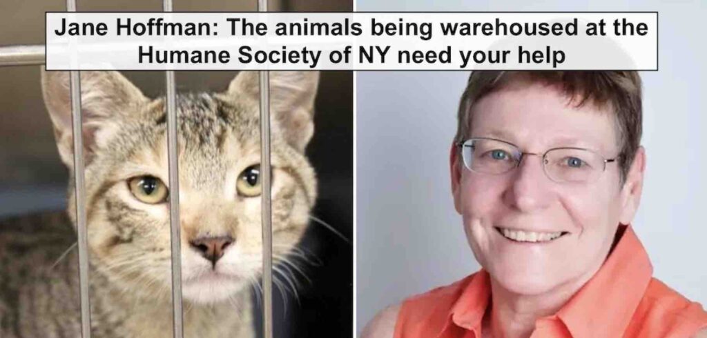 Photo of Jane Hoffman, the President of the Mayor's Alliance for NYC's Animals