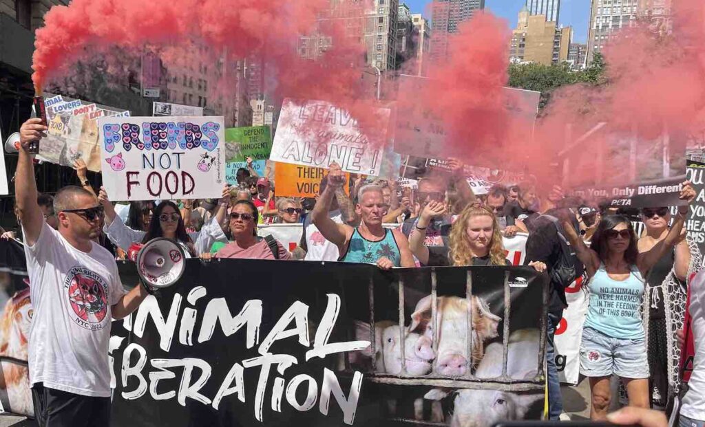 Photo of animal rights activists during the 2022 Animal Rights March in NYC