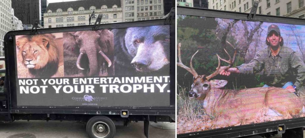 Photo of anti-trophy hunting mobile billboard