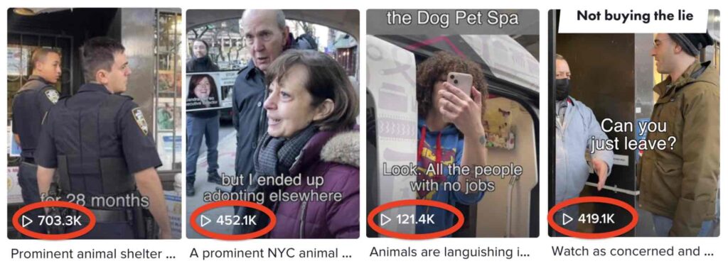 Photo of TikTok videos of protests at the Humane Society of New York