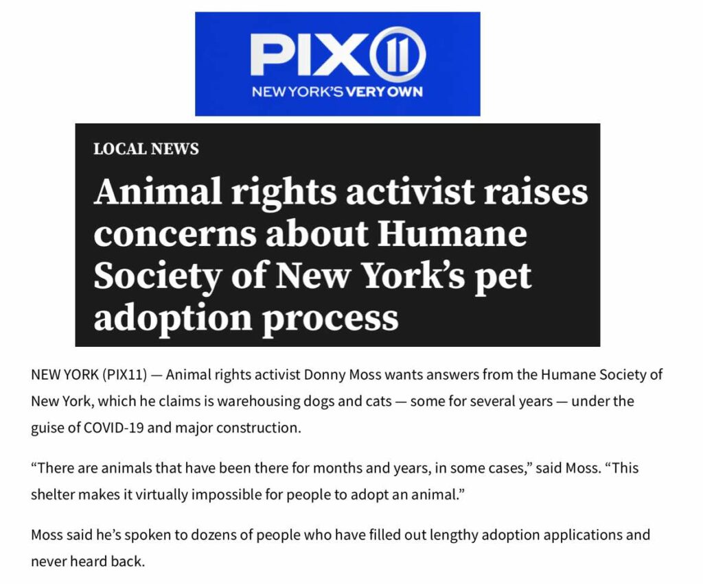 TV news coverage about animal warehousing at the Humane Society of New York