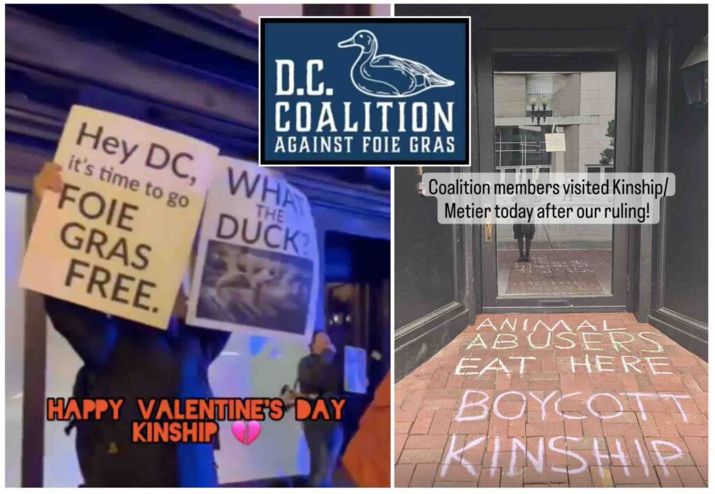 Photos of protest at Kinship, a Washington-D.C. restaurant targeted by animal rights activists over its sale of foie gras