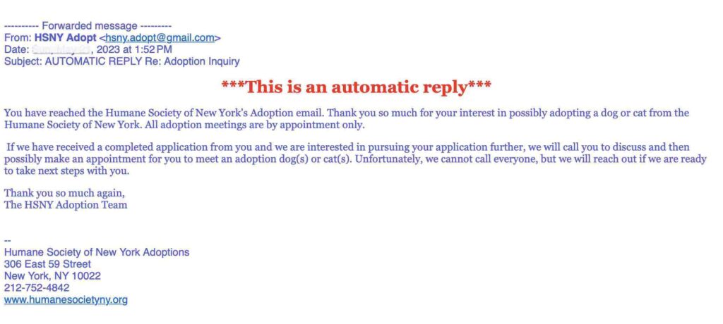 Photo of automated reply that the Humane Society of New York sends to people who submit adoption applications