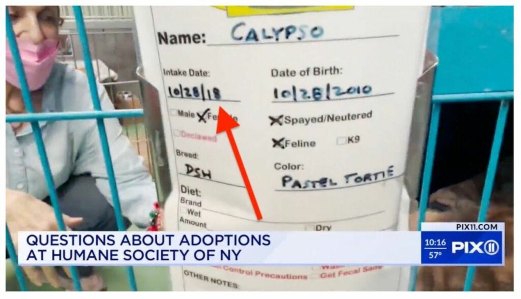 Photo taken in March 2023 of adoption card with intake date of 2018 