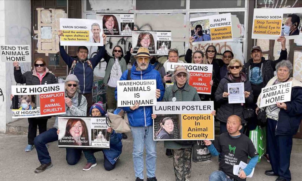 Photo of protest at the Humane Society of New York