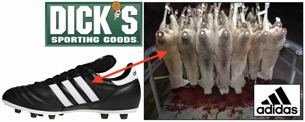 Photo of kangaroo leather soccer cleat sold by Dick's Sporting Goods