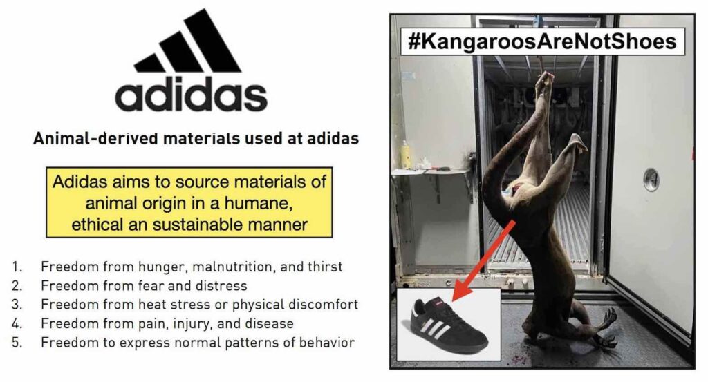 Photo of Adidas's policy surrounding the use of animals in their products